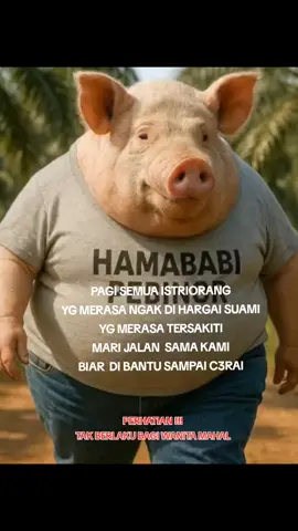 #assalamualaikum 