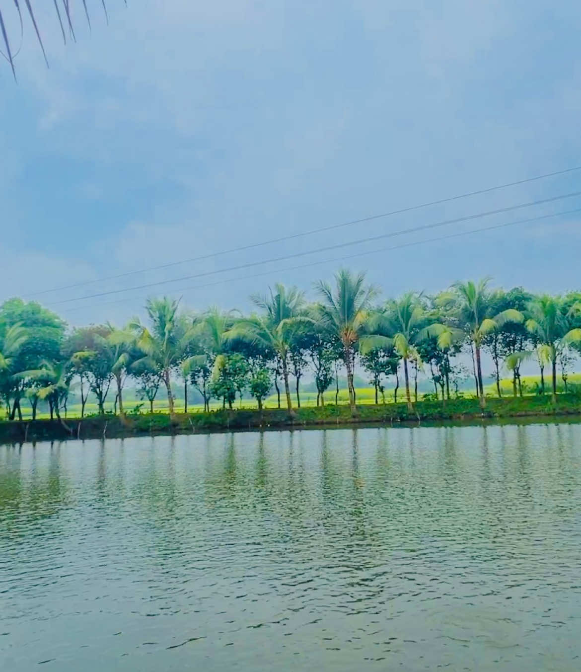 😓😓🤲🥹#আনিসুর_রহমান_আশরাফী💖💖 #viralvideo #ইসলামিক_ভিডিও_🤲🕋🤲 #viral #আশরাফি @TikTok @Din islam 🍁🌼🕋 @TikTok Bangladesh 