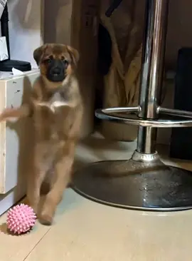 #fyp #foryou #funny #funnyvideos 