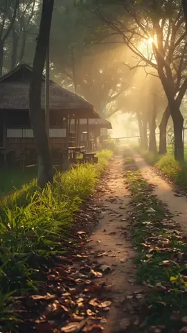#morning #morningvibes #naturevibes 