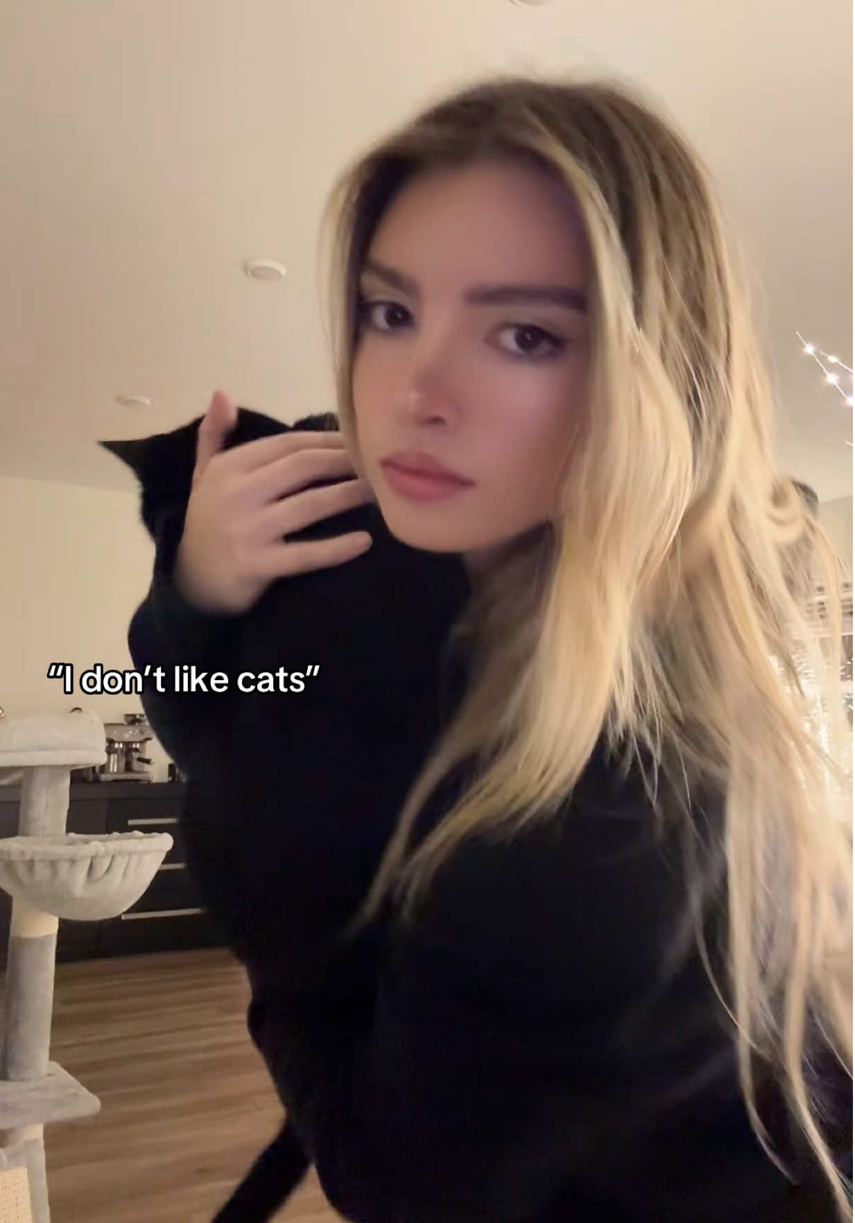 We don’t like you #xyzbca #viral #catmom #dmvtiktok 