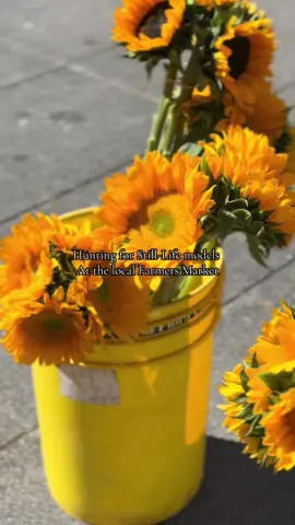 Join me for walk around the farmers market 🧺  taking reference photos for future still life paintings #farmersmarket #inspiration #stilllife #deepbreath #artist 