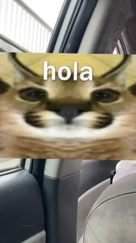 Vlog. Debo reacostumbrarme a grabar todo mi día 🙂‍↕️ #familia #Vlog 