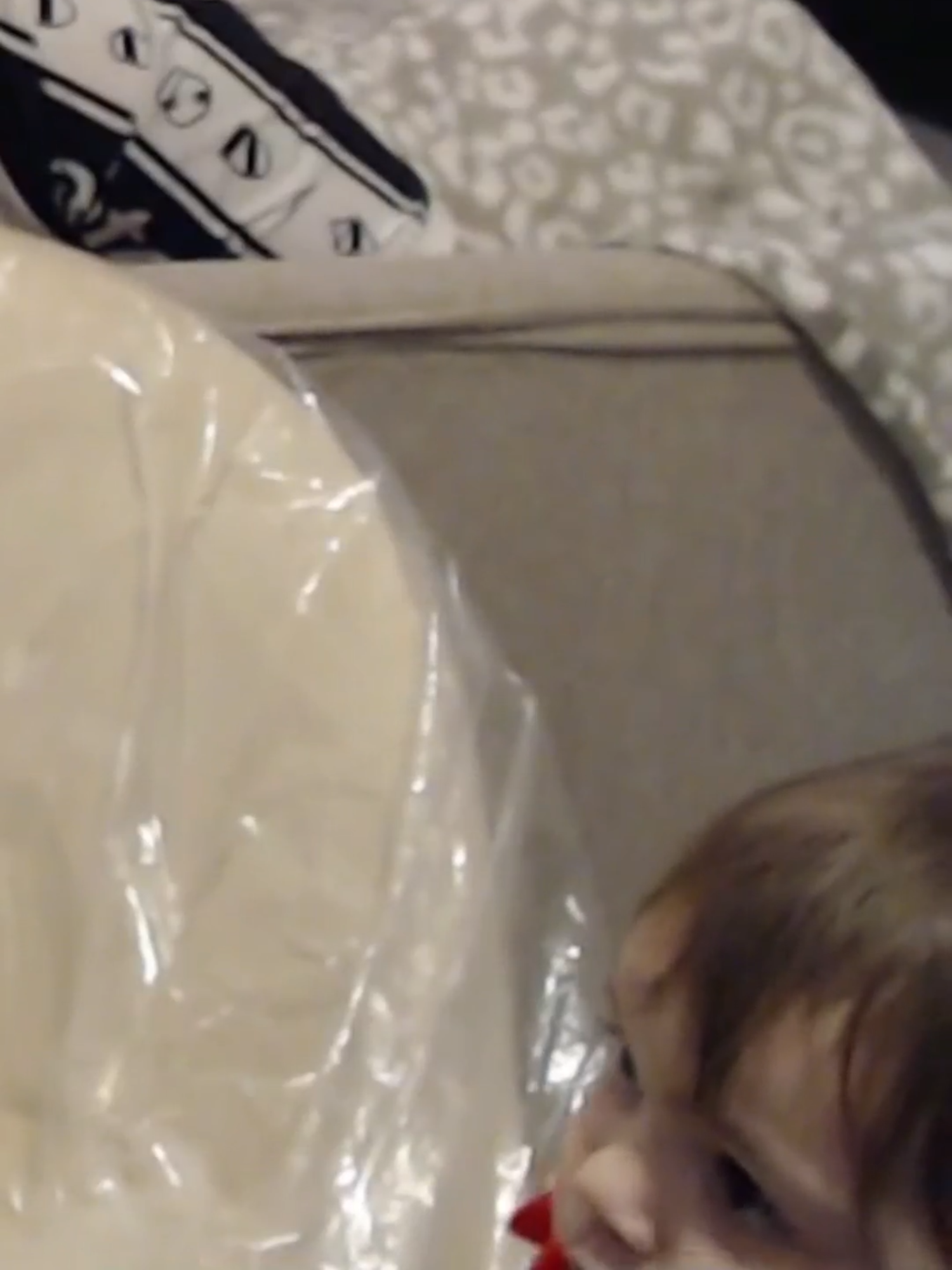 #6tn #pato #bisicleta #marmol #px6 #6oat #fyp #goat #argentina #humor