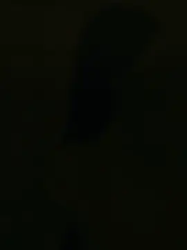 Gandaaa😍😍 #zhaolusi_赵露思 #lusirosy🎀