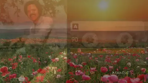 #ethiopian_tik_tok @ሽሮሜዳ23 