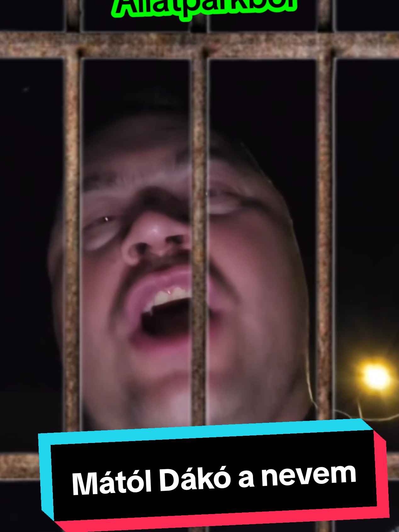 Mától Mc Dákó a nevem#neked #for #bazdkiforyuba #mcisti #foryoupage❤️❤️ 