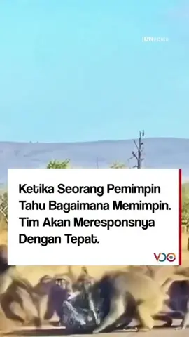 Arti sejati seorang pemimpin Menjadi pemimpin bukan soal jabatan, bukan soal duduk di kursi depan, apalagi hanya menerima penghormatan. Pemimpin sejati adalah mereka yang siap menjadi *ujung tembak* saat harus melindungi tim, *ujung tombak* saat harus maju membuka jalan, dan *ujung tombok* ketika ada yang perlu ditanggung demi kebaikan bersama. Karena kepemimpinan bukan tentang enaknya memimpin, tapi tentang berani memikul beban, rela berkorban, dan mampu menjadi teladan. Pemimpin yang benar tidak mencari kehormatan, tapi memberikan kebermanfaatan. Mari kita doakan, semoga kita semua diberi hati untuk memimpin dengan keteladanan, dan bila belum mampu, setidaknya kita bisa jadi pengikut yang mendukung dengan penuh keikhlasan. #PemimpinSejati #UjungTembakUjungTombakUjungTombok #LeadershipDenganHati