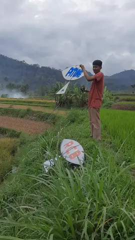 SDANGKAN LAI BAKABEK AREK LAI PUTUI#layanganputus #fypfiralシ #layangerebatusangka #layangpacubatusangka #wonderfulindonesia 