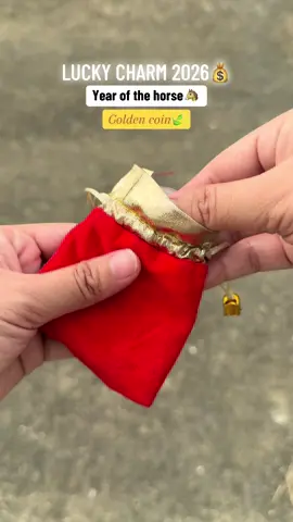 Pampaswerte sa wallet, sa negosyo! #luckycharm #goldencoin #pampaswerte #yearofthehorse #2026 