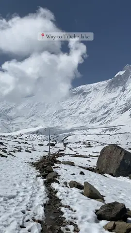 Itinerary breakdown at YouTube ✨  #fyp #viral #tilicho #trekinnepal #treeking 