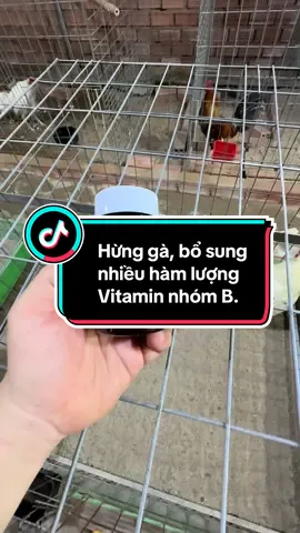 Hừng gà, bổ sung nhiều hàm lượng Vitamin nhóm B. #thuy68 #ga #c1 #c2 #c3 