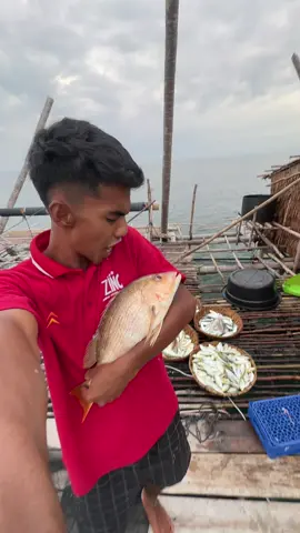 Ikan sengarat/unga#pektammahadi #pelautpunyacerita #kelong #fypppppppppppppppppppppp #fyp 