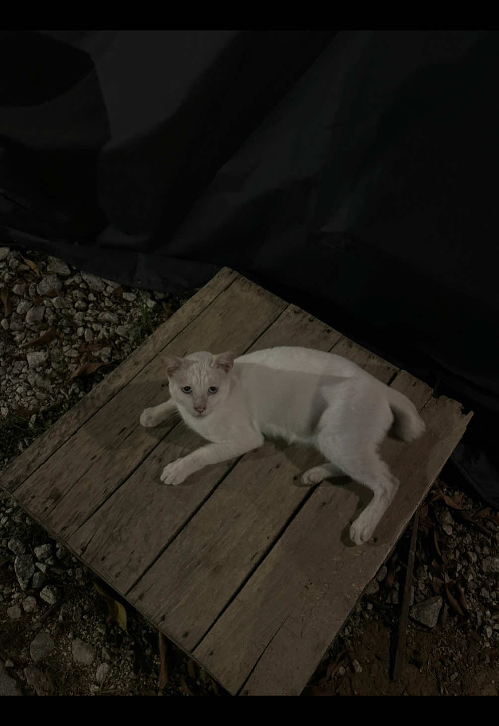 #stitch with @crookedculture.my kena reject dengan girl pakai tudung leoped ke bang