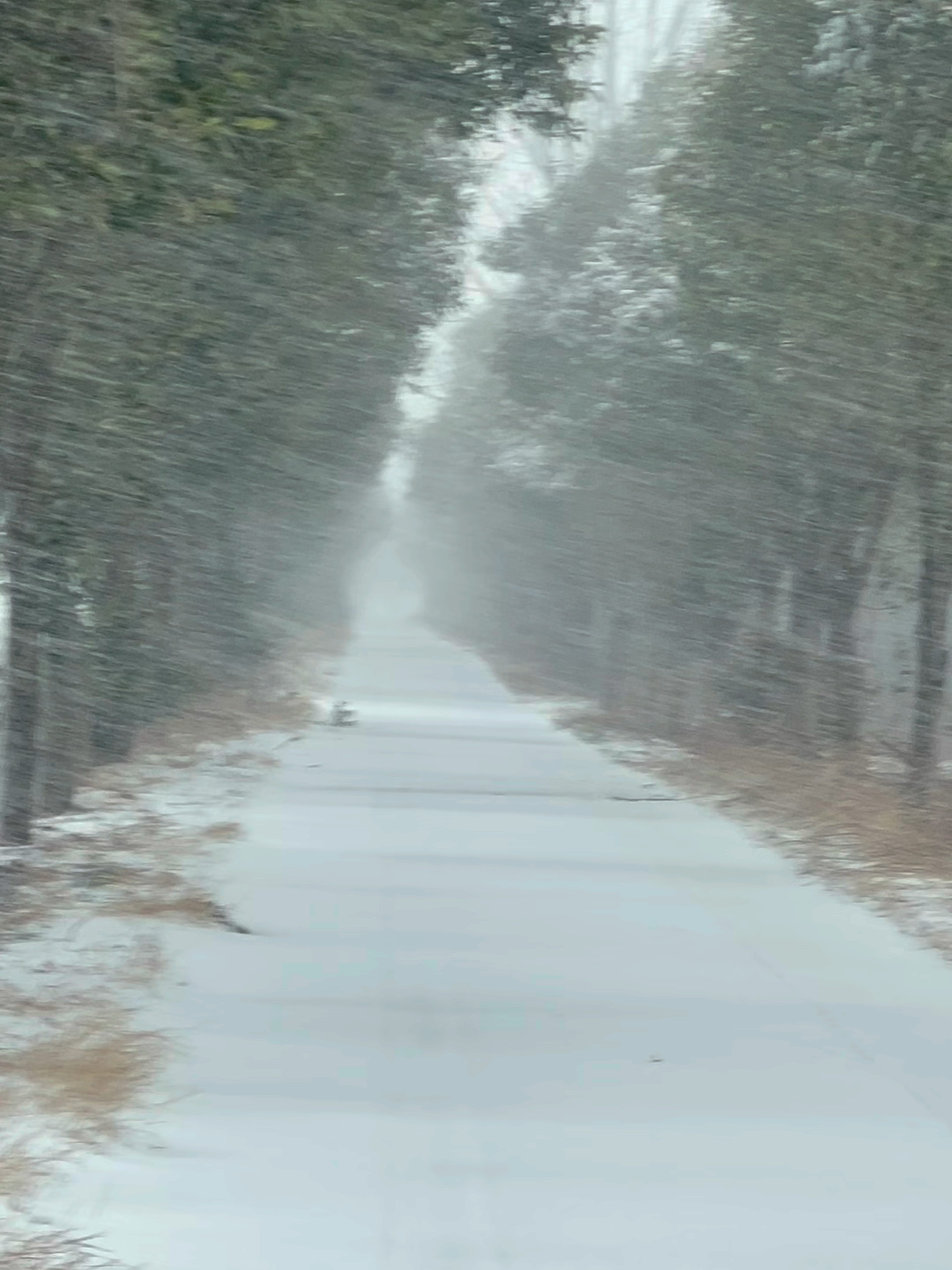 a blanket of snow wrapping nature in peace ⛄ #snowlife #beautifulview #viral #trending