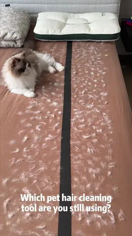 If you have pets and they shed at all,this will save you SO much time 🐈😻😽#cathairremoval #cathair#cathaireverywhere#pethair#petproducts