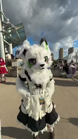 เครดิต:@mewantwife on X  #furryfursuit #kemonofursuit #furrycommunity #furryfandom #fursuit 