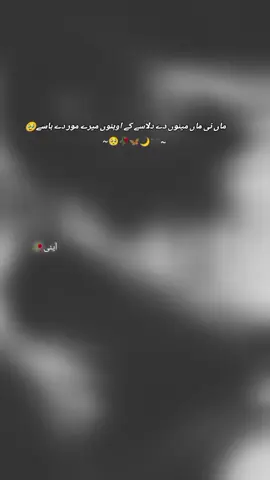 اس دنیا میں کوئی بھی آپ کی خیر خواہی نہیں کرتا سوائے آپ کی ماں کے۔ 🫀✨ 🦋 🦋 🦋 🦋 🦋 #urdupoetry❤🌙🦋💯❤🥀