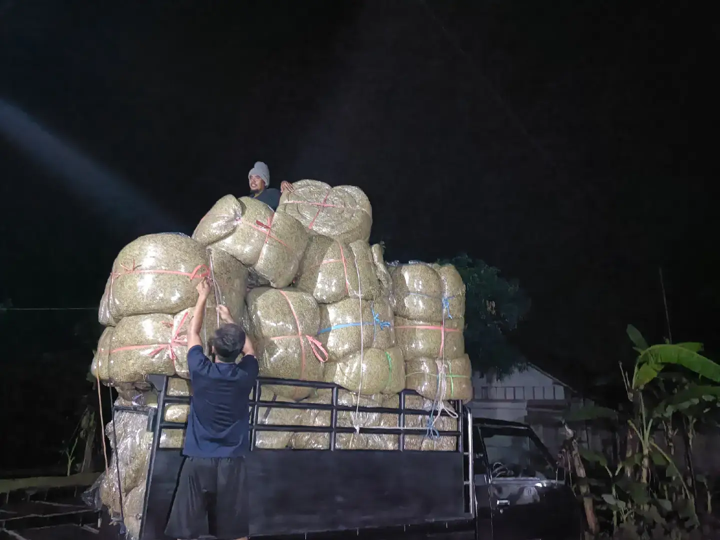 sitik2 Jo #mbakobojonegoro 