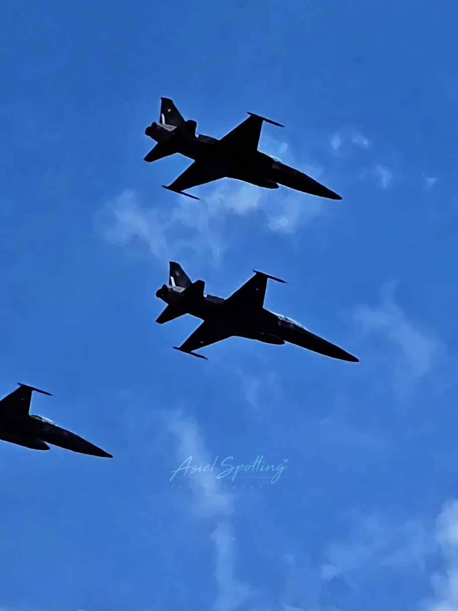 Disfruten de el rugir de los tigres!! 🔥🇲🇽 Pase de 3 aviones F-5 de la Fuerza Aérea Mexicana durante el inicio del Desfile Cívico Militar 2025 #aviacion #militar #desfilemilitar #f5 #fuerzaaereamexicana 