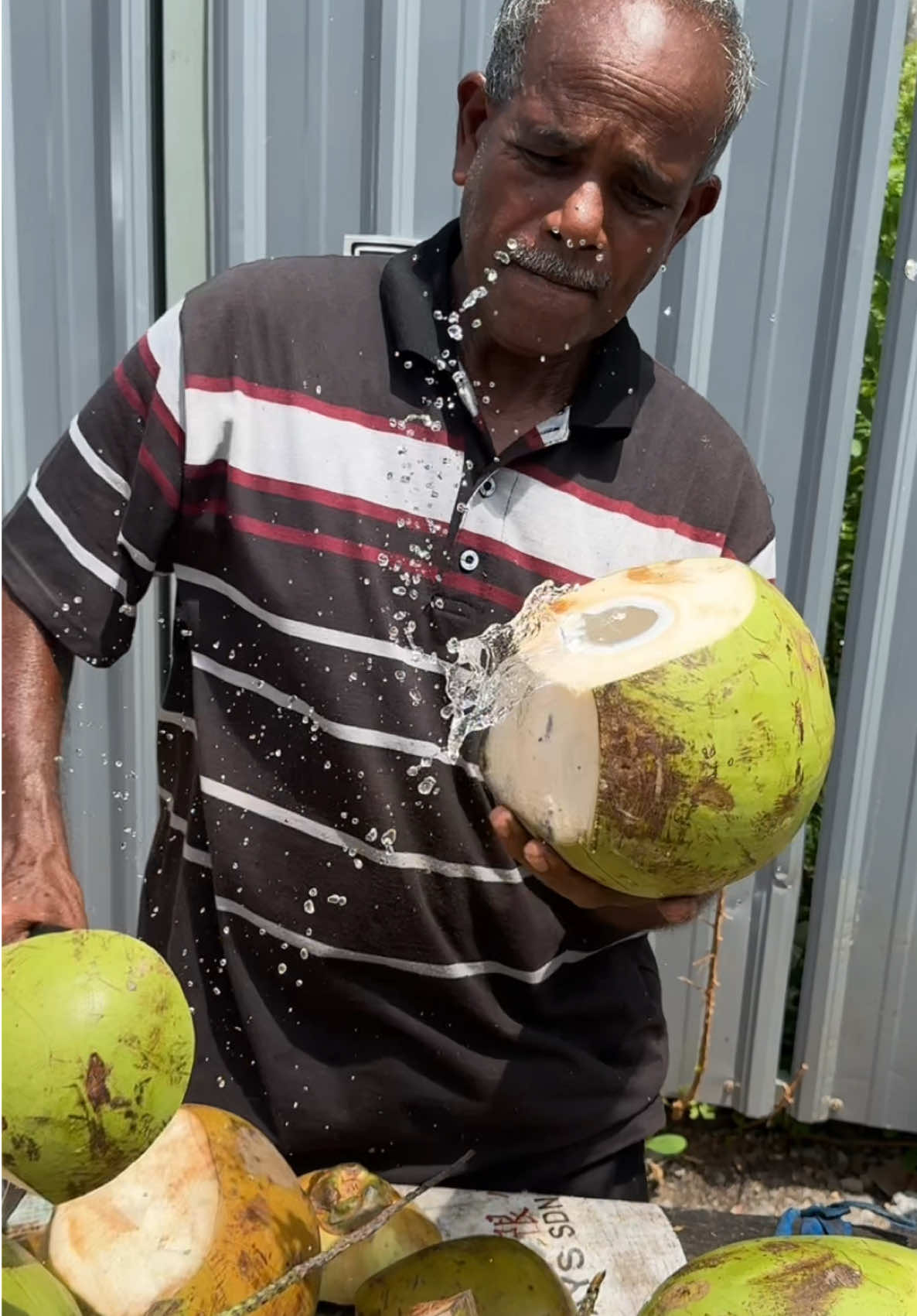Fresh Coconut Water - Street Style Drink You Must Try#fyp #trendingvideo #FoodASMR #shorts #Viral 