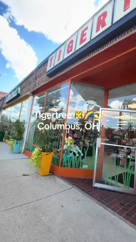 Made a lil stop at Tigertree in Columbus, OH!!🧡 #tigertree#columbus#ohio#knickknacks#trinkets#jellycat 
