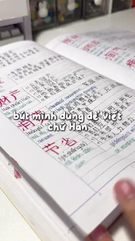 tui dùng bút brush soft pen nhó #muataitiktokshop #xuhuongtiktok #hoccungtiktok #tuhoctiengtrung #hoctiengtrung 