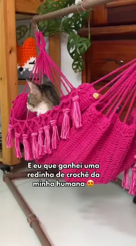 E essa mini cliente genteee😍 Muito fofa desfrutando da sua nova redinha 😍😍 #crochet #gatos 