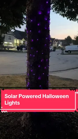 I need more immediately! #solarpower #solarlights #halloweenlight #halloweendecor 