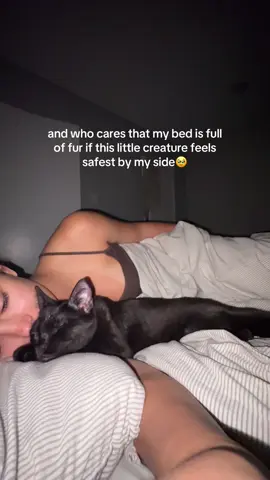 someone said what a privilege it is to have a little less room in bed because a tiny creature feels safest by your side🥹 #cats #foryou #catsoftiktok #funnycat #blackcat 