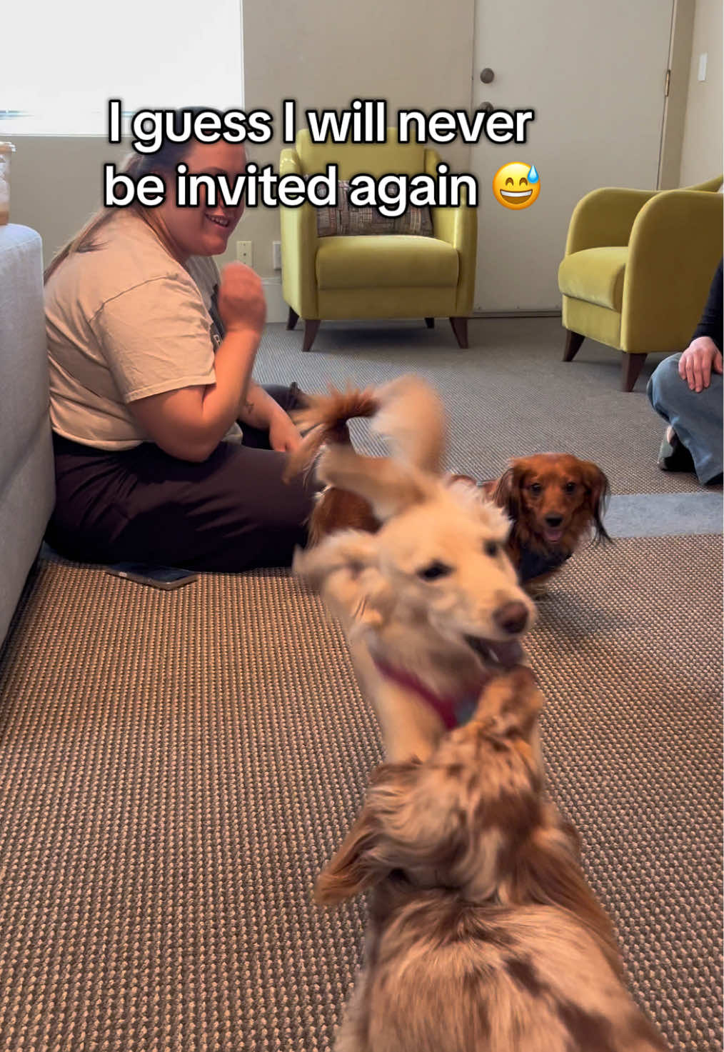 At least I had fun 😅 #dog #puppy #dachshund #miniaturedachshund #funny 