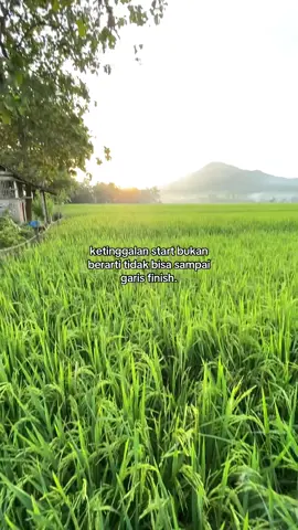 #petaniindonesia🇮🇩🇮🇩🇮🇩🌿🌿 #katakata #masukberandafyp #bismillahfyp #4upageシ 