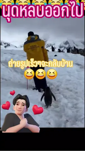 #คลิปน่ารัก #คลิปน่ารักๆ 