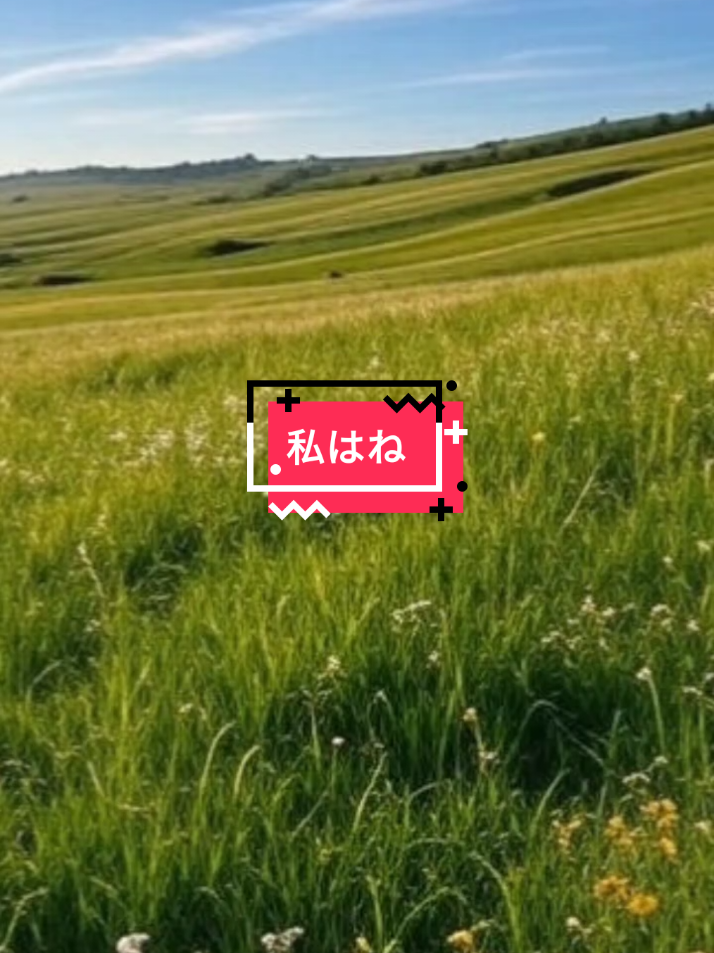 #CapCut #にほん #fyp #ghibli #japan #xyzbca #abcxyz 