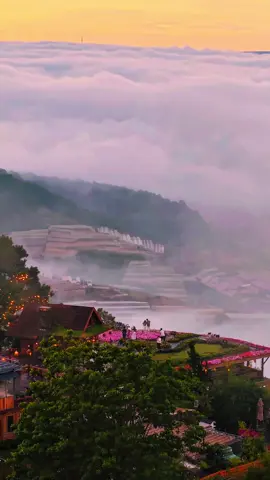 Sương mờ Đà Lạt, chill từng khoảnh khắc - Miền Du Mục #dalat #miendumuc