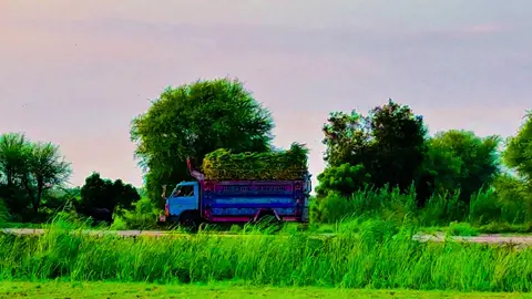 #foziasoomro_sindhi_sad_status 