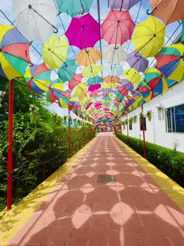 #নরসিংদী নাগরিয়া কান্দি গোল্ডেন ইস্টার পার্ক..? ❤️‍🩹🫶#tiktok #foryou #foryoupage @Creator Portal Bangla @𓆩💜𓆪✰𝑇ꭵ𝖘𝘩𝓪✰𓆩💜𓆪 @❤️Voice Of Farhan ❤️ @✮𝐻𝒾𝒮 👰‍♀𝑀𝒶𝐻𝒶𝑅𝒶𝒩𝒾 ✮ @Tamal Islam Shorif  @📍_কাশফুলের রাজ্য_   @Rs Raju  @>(দয়াল🍫💣)< #আইডি_ফ্রেজ_হয়ে_গেছে_helpme 