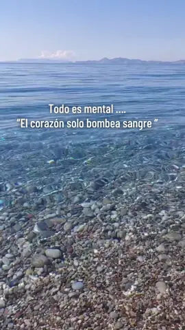 #LIVEIncentiveProgram #LIVEStory #PaidPartnership 