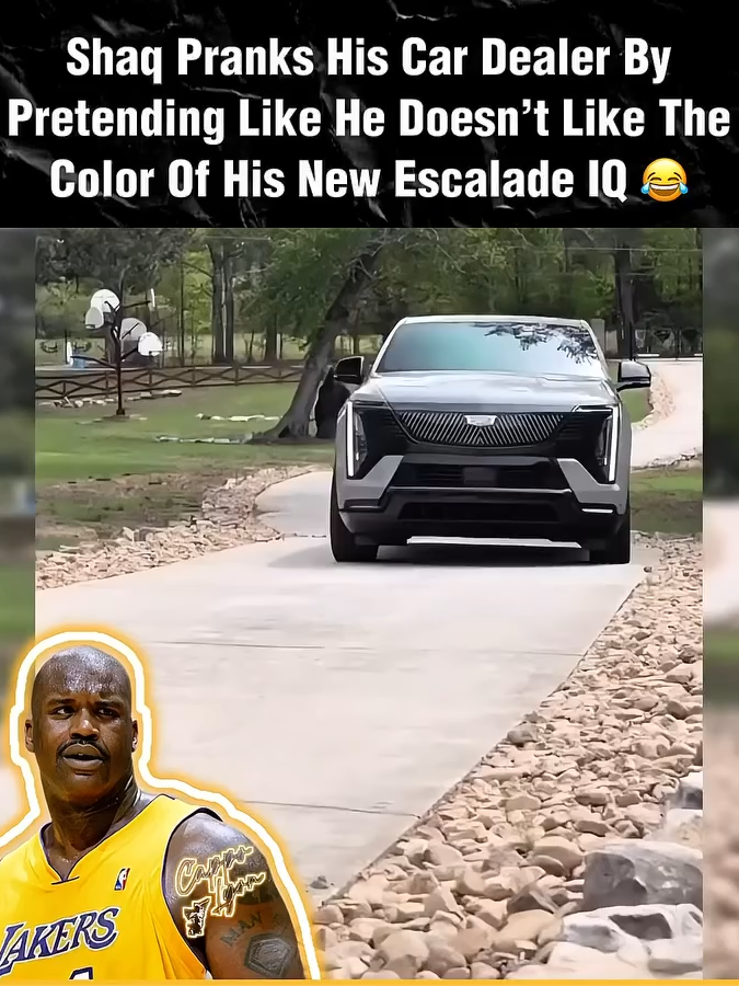 Came out in the same color shirt talking about wrong color  #hdMU