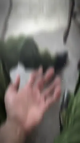 #csgt #canhsatnhandan #canhsatcodong #bocongan 