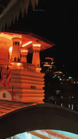 Dalada Mal 🤍 #daladamaligawa #kandy #viral #fyppppppppppppppppppppppp #trending 