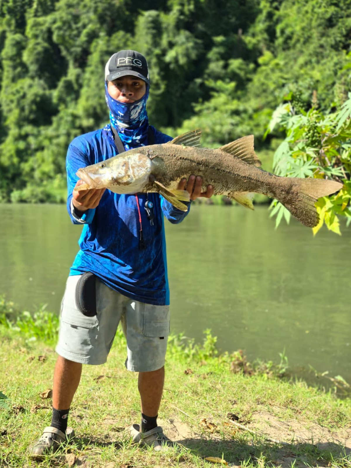 Amigos vean así saqué el robalo más grande que e sacado en el rio humúya, segunda parte en mi perfil 😁💯💯#pesca #peces #pecesenelrio #riohumuya 