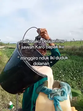 HARTA YANG PALING BERHARGA ADALAH.... SAWAHHH ✌️#riau #siak #petanisawah🌾 #bapak 