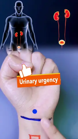 Ditch frequent urination.this tcm spot 3-5 relieves urge & protects kidneys!#tcm #chinesemedicine #acupressure #kidney #kidneyfailure 
