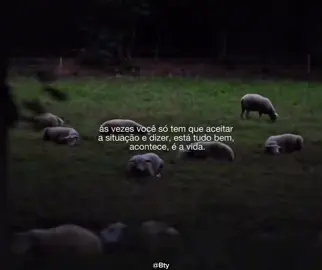 #motivacao #video #fy #foco 