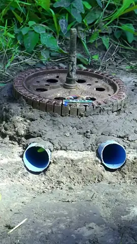 You Won't Believe Where This Snake Goes!  #animaltraps #snake - Walking in the forest