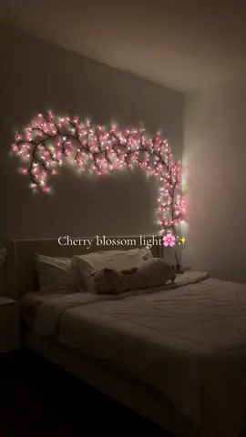 So obsessed with how beautiful these lights are!💗 #cherryblossom #lights 