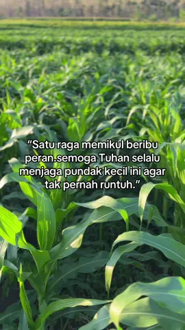 #fypシ #fyp #fypindonesia Tuhan tidak akan menguji seorang hambanya diluar batas kemampuannya “la yukallifullahu nafsan illa wus’aha”#fyptiktok #katakatamotivasi #katabijak #quotesindonesia #petaniindonesia #semangatpetani #petaniberdaya #hiduppetani #inspirasi #katakatahariini #tanaman #alamindonesia #semangat
