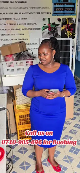 #cages #chicken #ecokuku #incubator #eggs #farmer #incubator  call us on 0710-905-696 for Booking 