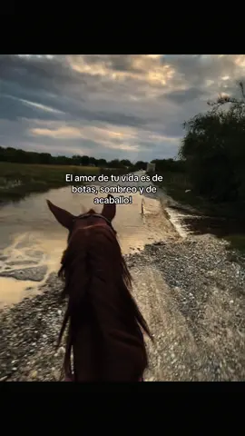 #paratiiiiiiiiiiiiiiiiiiiiiiiiiiiiiii #fyp #caballostiktok❤️ #amorvaquero 